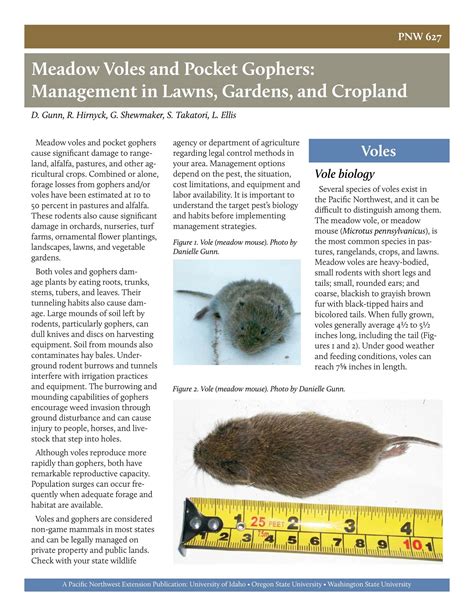 voles in idaho|Meadow Voles and Pocket Gophers: Management in Lawns,。